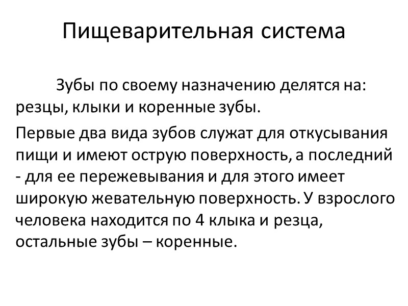 Пищеварительная система  Зубы по своему назначению делятся на: резцы, клыки и коренные зубы.
